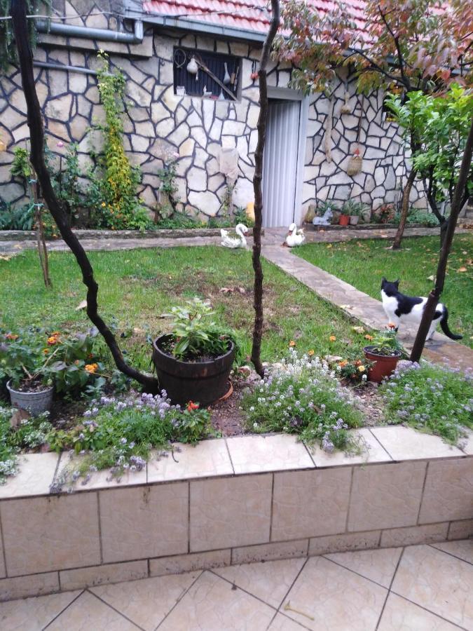 Janina Hisa Apartment Stolac Екстериор снимка